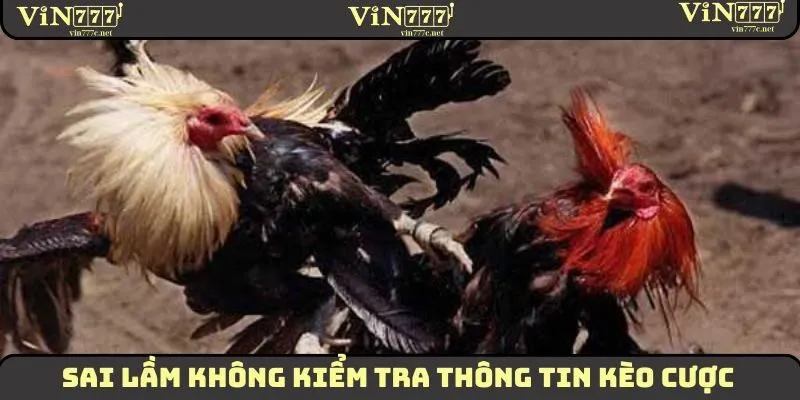 Cách Chơi Đá Gà Campuchia Dành Cho Hội Viên Mới 2025 3 Sai lầm không kiểm tra thông tin kèo cược